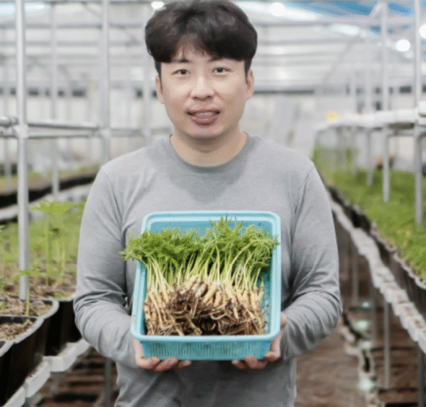 A healthy man enjoying the vitality benefits of Korean ginseng supplements
