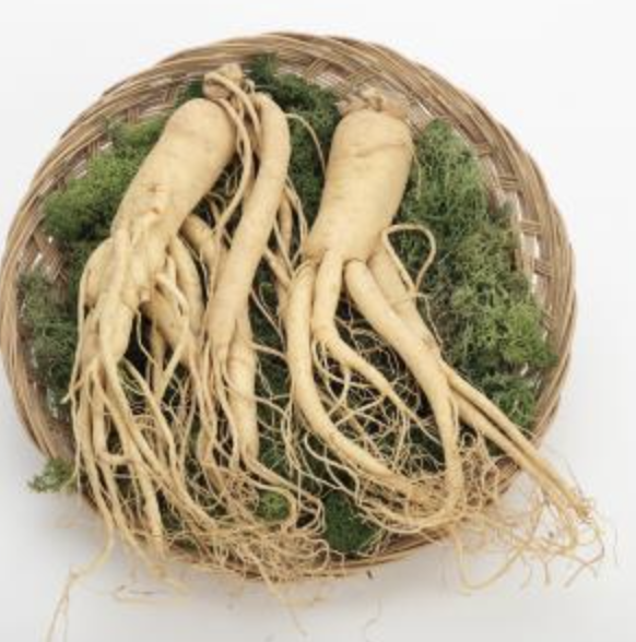 Illustration of CheongKwanJang Korean red ginseng roots and fenugreek seeds symbolizing herbal synergy for energy and hormonal balance