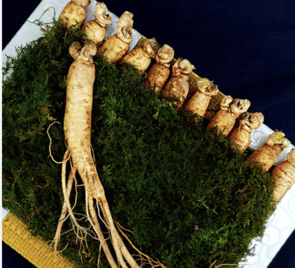 Korean ginseng extract and methylcobalamin supplement for brain and energy support