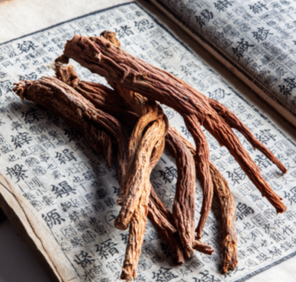 Chart comparing Korean ginseng, red ginseng, black ginseng, and wild ginseng