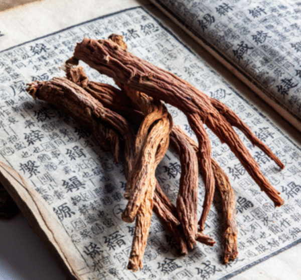 A combination of Korean Red Ginseng roots and fresh vitamin C-rich citrus fruits symbolizing immune-boosting supplementation