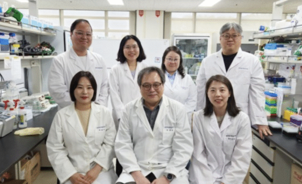 Long-term health benefits of Korean ginseng root on immunity and energy 