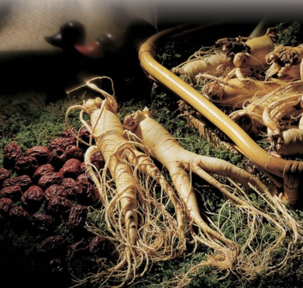 Korean red ginseng roots and antioxidant molecular diagram