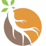 korean ginseng icon