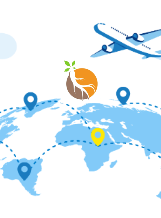 Worldwide shipping of premium Korean ginseng from Korea