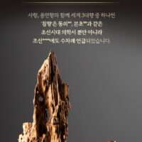 AgarwoodMaster Korean Red Ginseng Extract with Agarwood 3.75g x 60 pills - Image 10