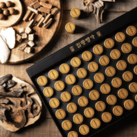 AgarwoodMaster Korean Red Ginseng Extract with Agarwood 3.75g x 60 pills - Image 9
