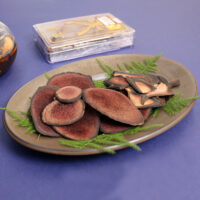 Handong Deer Research Institute - New Zealand Deer Antler Velvet Upper Tips 75g - Image 6