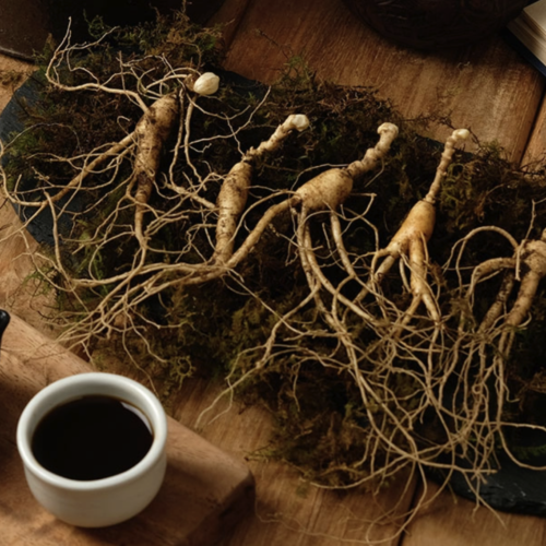 Wild Ginseng