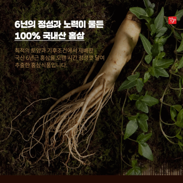 Nature Garden — 6-Year Fermented Red Ginseng Extract Sticks (10 g × 30 sticks) - Image 4