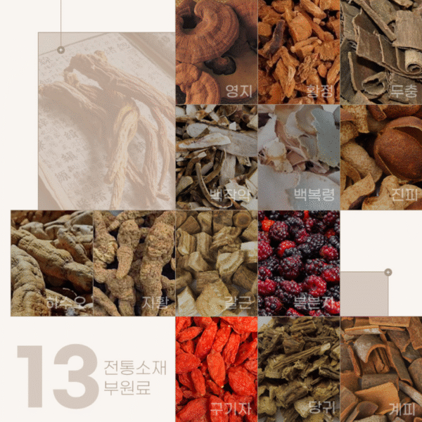 Nature Garden — 6-Year Korean Red Ginseng Extract 365 (10 g × 30 sticks) - Image 5