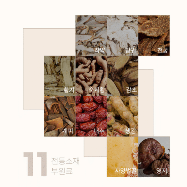 Nature Garden — Red Ginseng Extract Sticks 100-Pack (10 g × 100 sticks) - Image 4