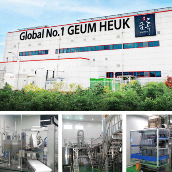 GeumHeuk Fermented Black Ginseng Extract - RootKhan Golden Black (12 g × 21 packs / 252 g) - Image 2