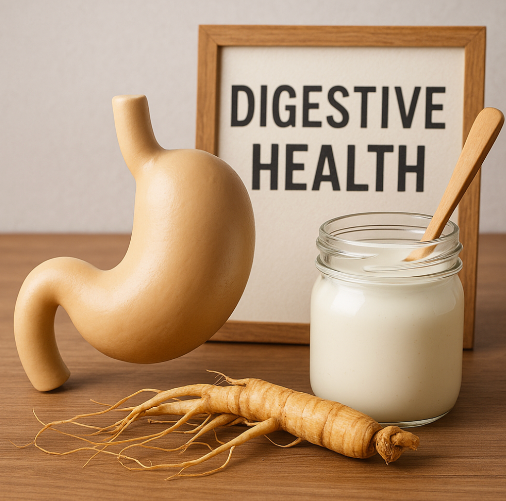 Korean ginseng root with yogurt and digestive health model