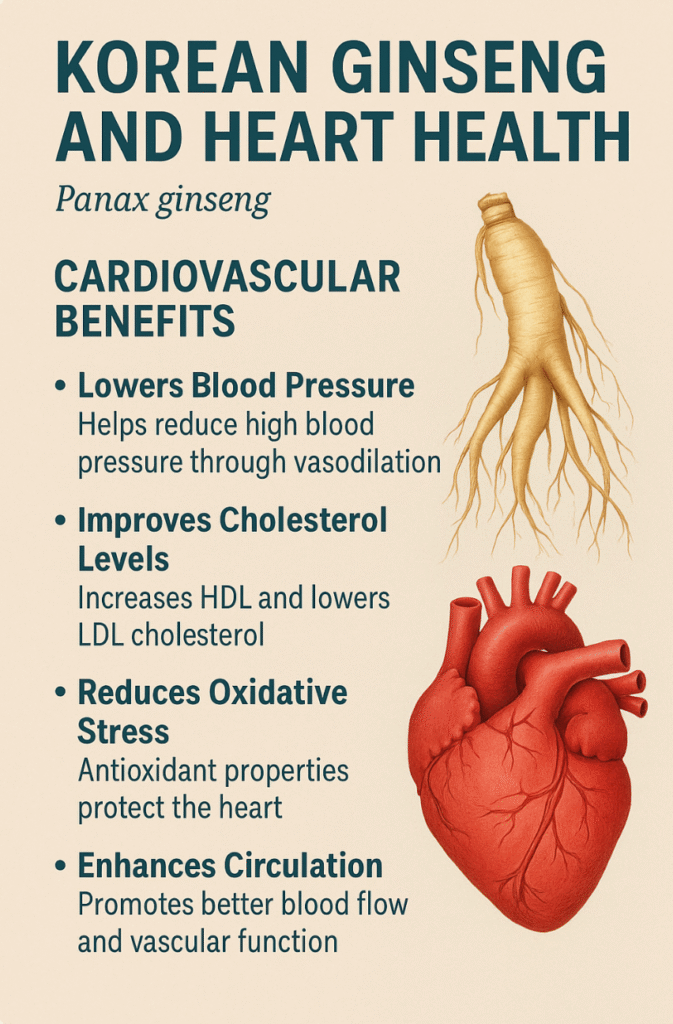 Infographic showing Korean ginseng benefits for heart health and cardiovascular wellness