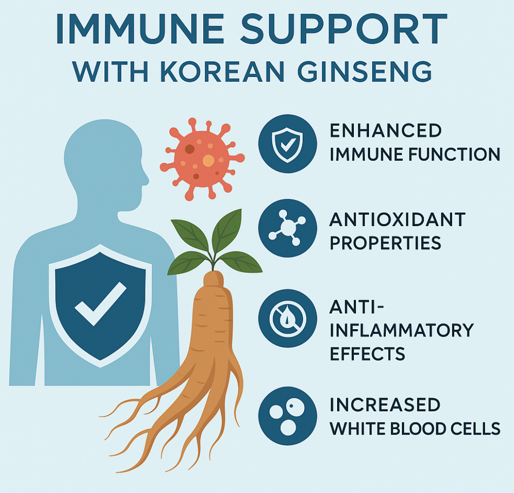 Infographic showing immune system support with Korean ginseng