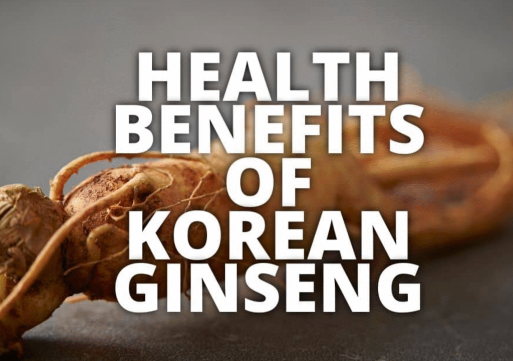 Fresh Korean ginseng roots with benefits for vascular health, cholesterol, immunity and fatigue