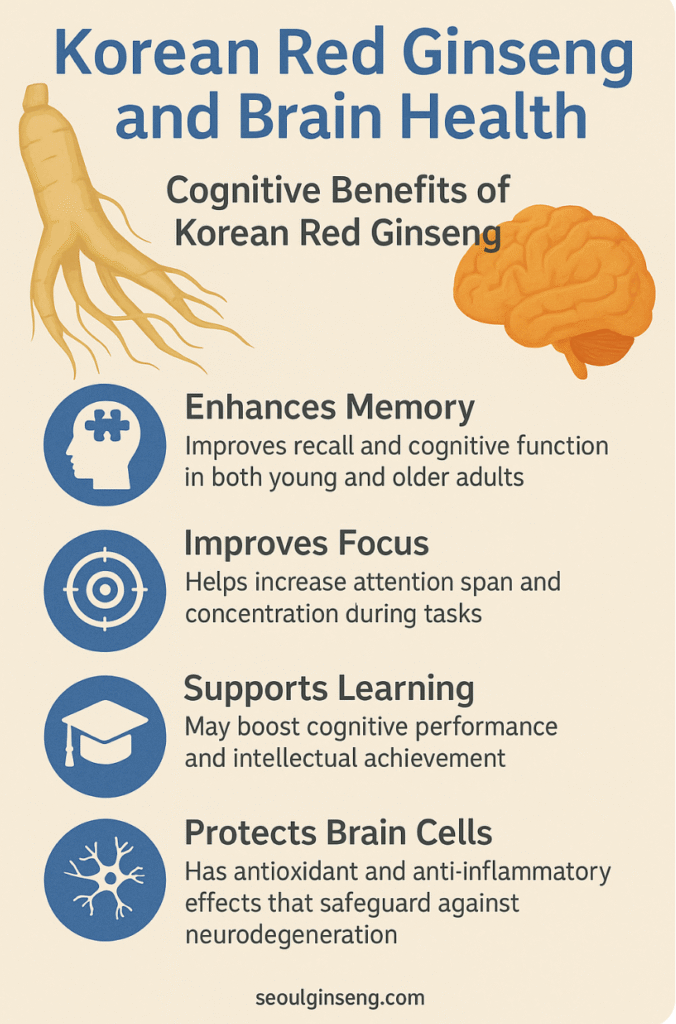 Korean Red Ginseng benefits for brain health and cognitive support