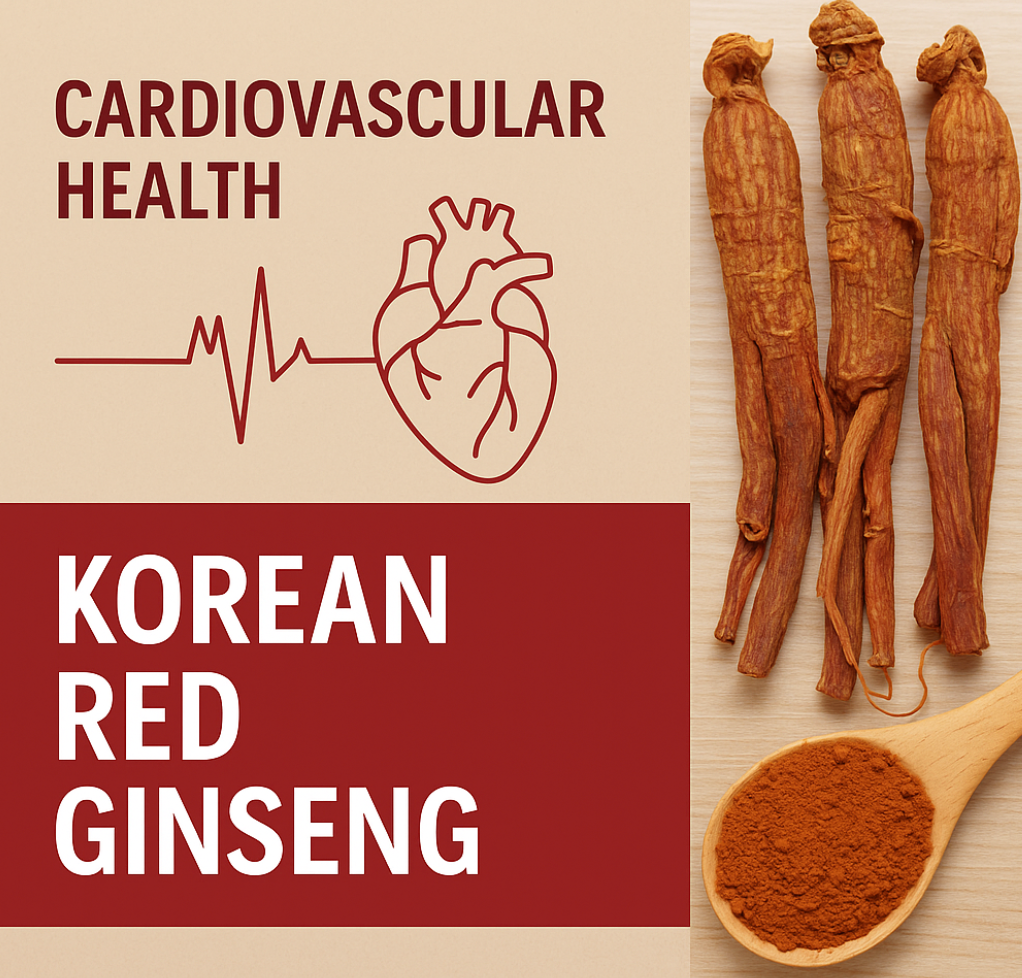 Korean red ginseng roots and powder symbolizing cardiovascular wellness