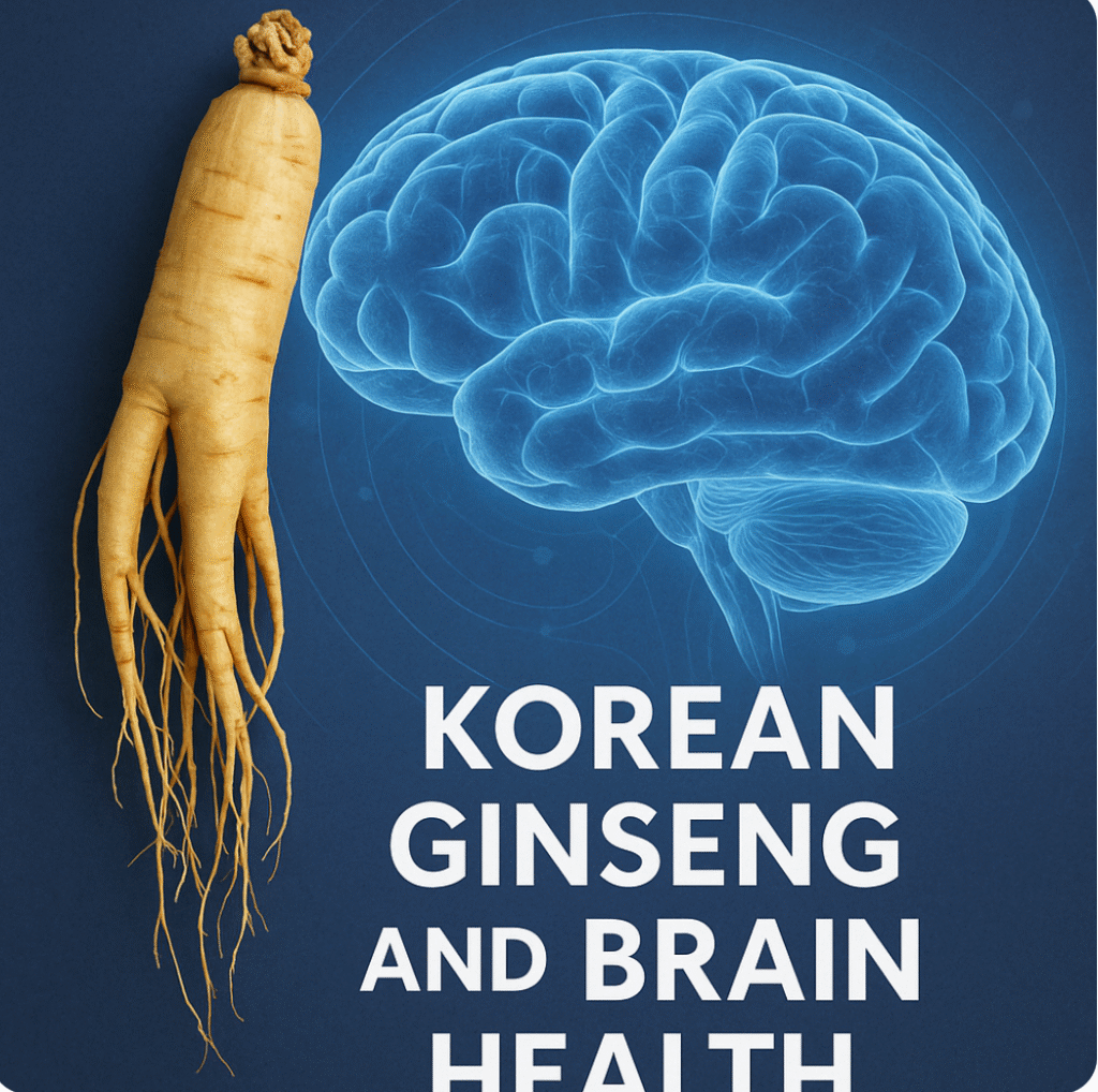 Korean Ginseng root beside a blue brain illustration symbolizing cognitive enhancement