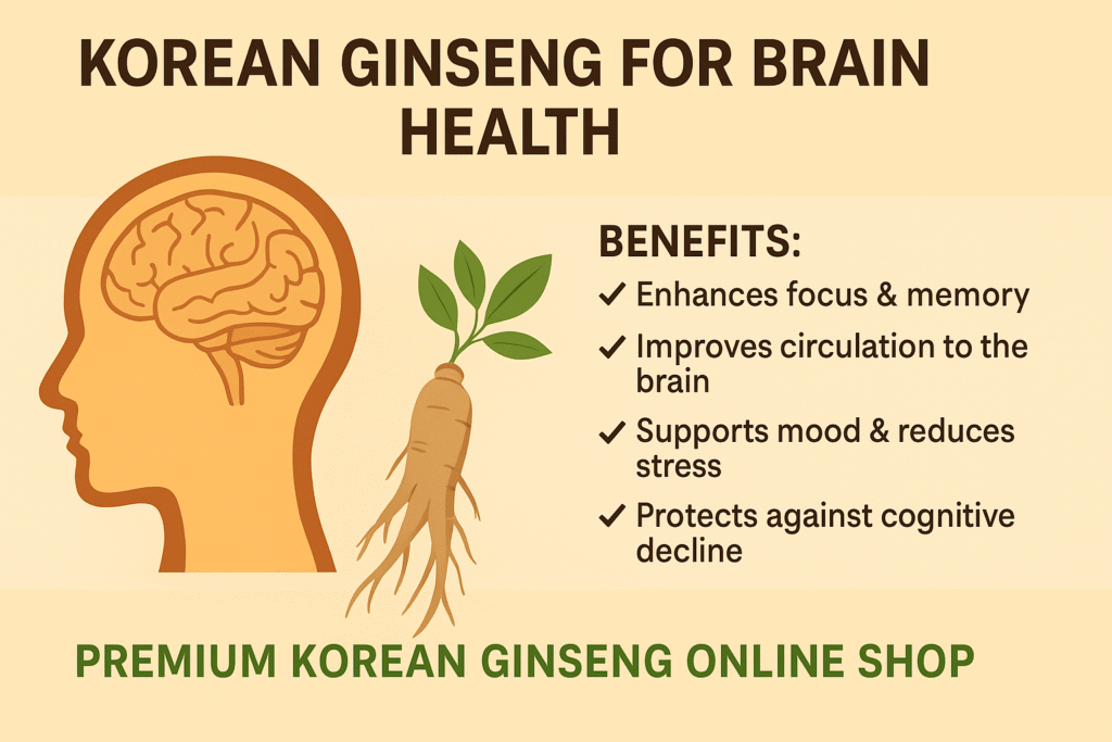 Korean Ginseng benefits for brain health, focus, and memory