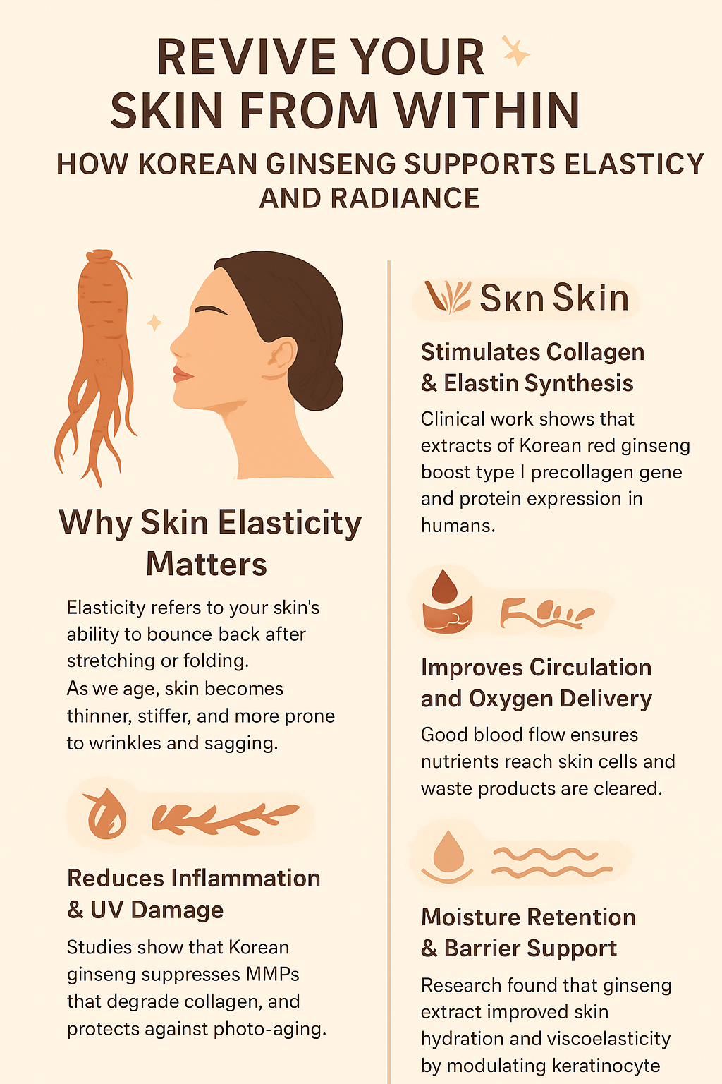 Korean Red Ginseng root and firm radiant skin representing inner beauty