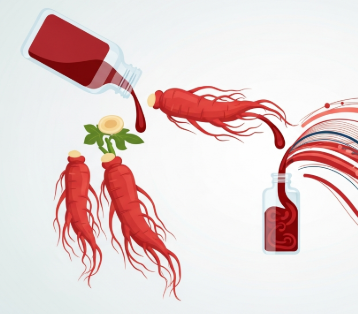Korean Red Ginseng supporting healthy blood pressure and vascular balance