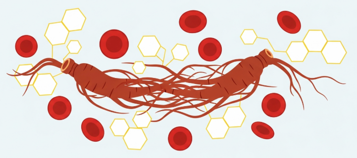 Korean Red Ginseng roots with glucose molecule and insulin icons symbolizing blood sugar balance
