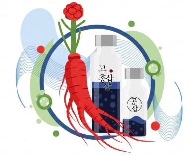 Korean red ginseng for immune system support and antiviral defense