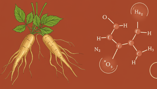 Korean red ginseng roots and tea symbolizing improved insulin sensitivity and balanced metabolism