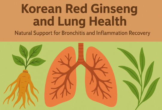Korean Red Ginseng supporting lung health and bronchitis recovery naturally