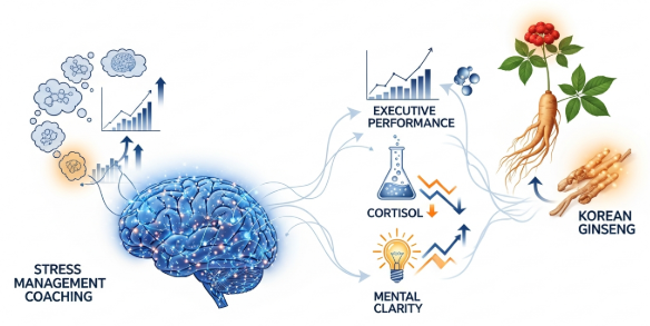 Stress management coach for executives with Korean ginseng support