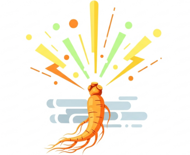 Korean ginseng root supporting natural energy in age-related fatigue