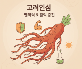 Korean ginseng root supporting healthy immune function