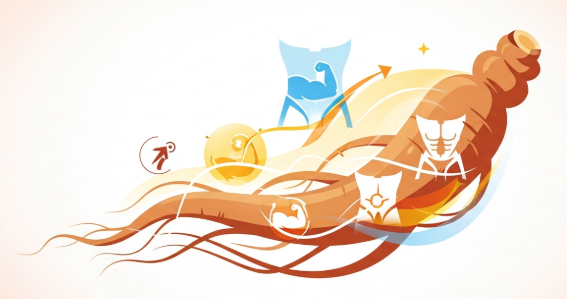 Korean ginseng supporting male hormonal health naturally