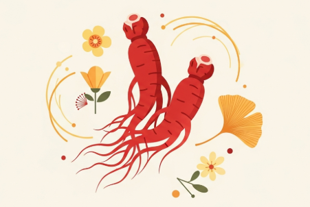 Korean red ginseng roots supporting healthy aging and longevity