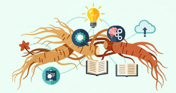 Korean ginseng supporting brain health and memory function