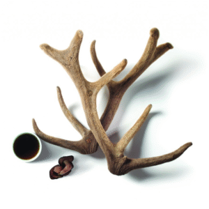 Ginseng with Velvet Antler
