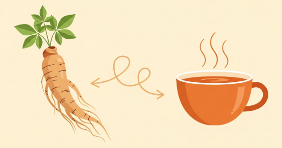 An infographic illustrating the scientific pathway of how ginseng modulates the HPA axis and cortisol levels to reduce feelings of stress and anxiety.