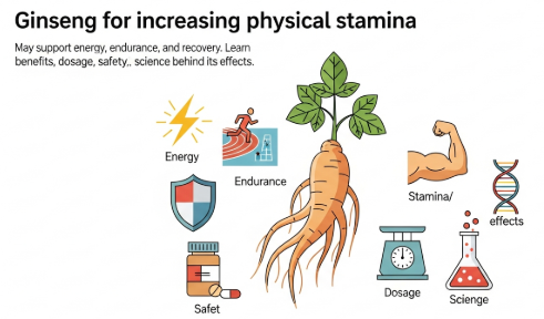 Ginseng for increasing physical stamina