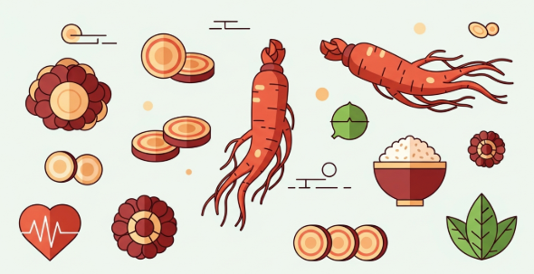 Korean ginseng supporting healthy blood sugar balance