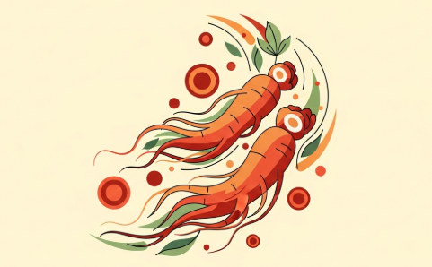 Korean ginseng root supporting healthy blood circulation