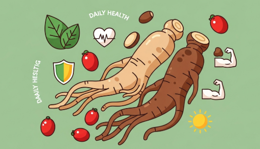 Korean ginseng used in herbal remedies for daily health