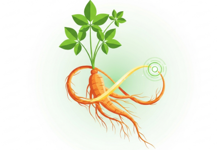 Korean ginseng supporting natural ways to feel more energised