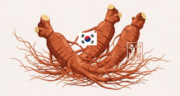 high quality Korean ginseng supplement root