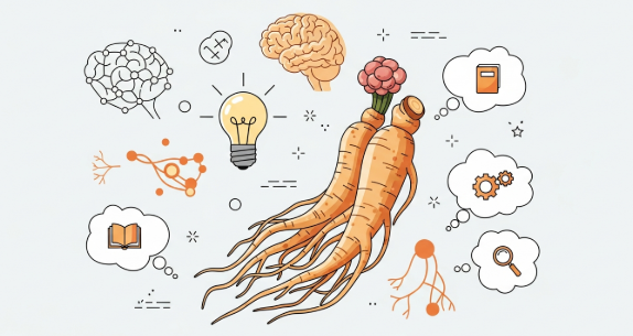 Korean ginseng roots used to support healthy memory and brain function
