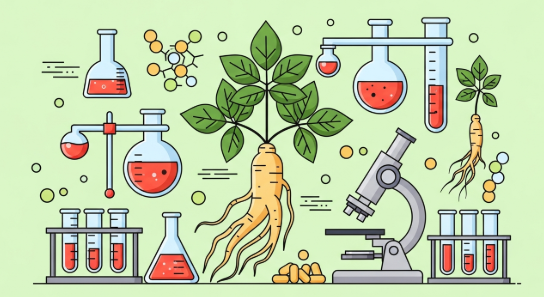 cancer pancréas and Korean ginseng supportive herbal approach