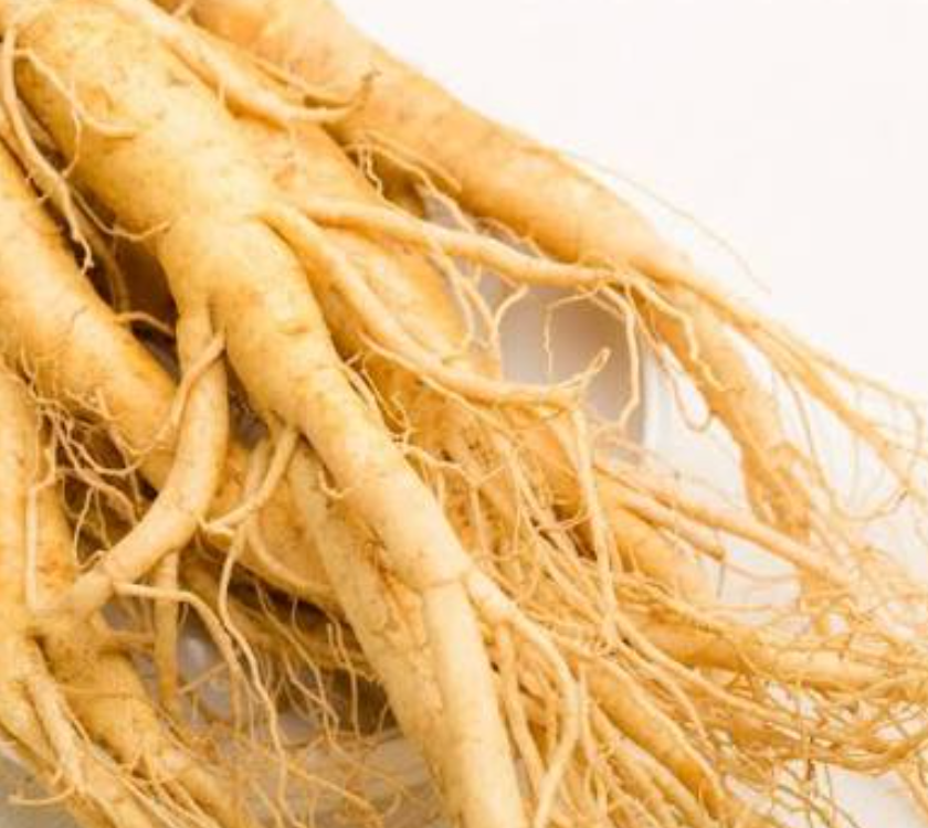 Korean ginseng number one and premium Korean ginseng