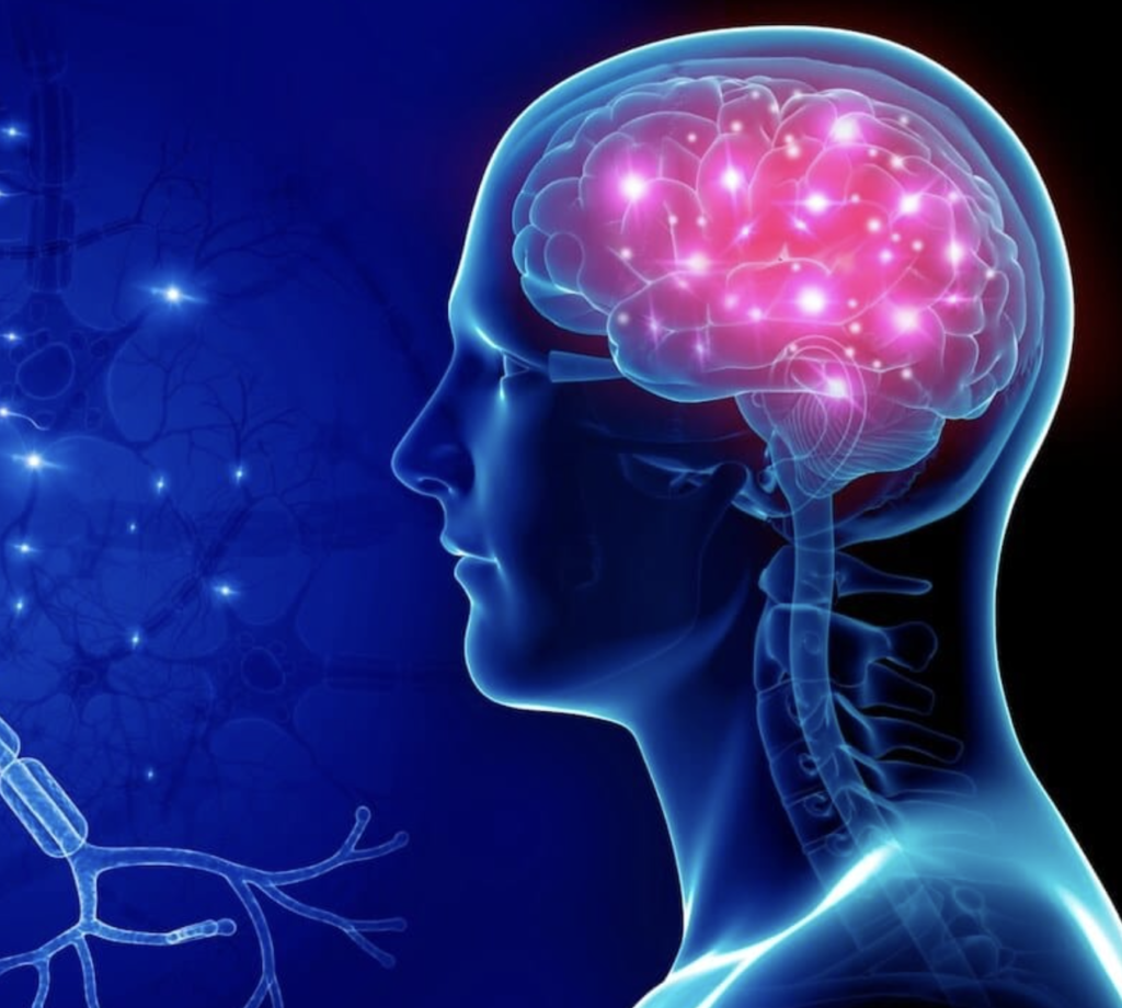 Walking and Brain Health Walking and Brain Health