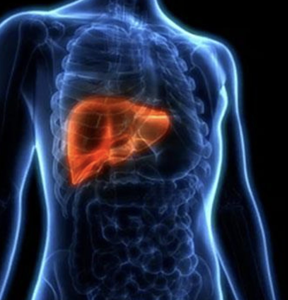 added-sugar-liver-health. Added sugar intake and liver health